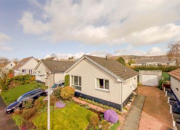 Crieff - Bungalow for sale                    ...