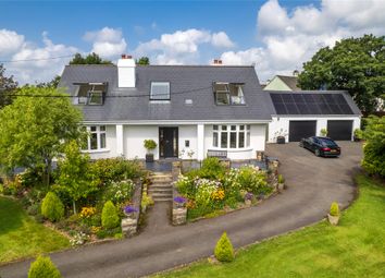 Thumbnail 4 bed bungalow for sale in New Road, South Molton, Devon