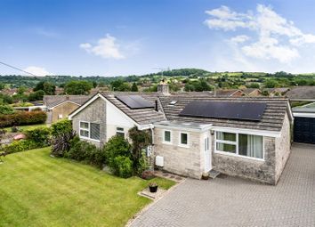 Thumbnail 3 bed detached bungalow for sale in Hollymoor Close, Beaminster, Dorset