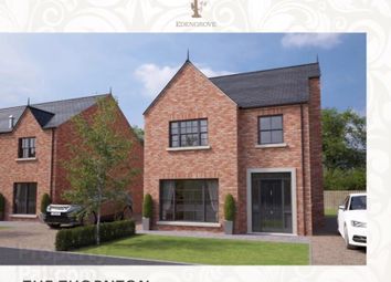 Thumbnail Detached house for sale in Site 26, Edengrove, Ballynahinch