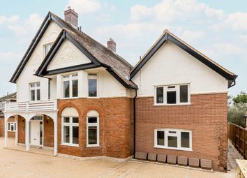 Thumbnail Semi-detached house for sale in Blenheim Road, London