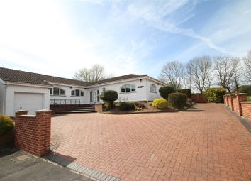 Thumbnail Bungalow to rent in Herm Close, Seabridge, Newcastle-Under-Lyme