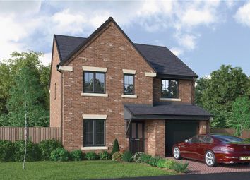Thumbnail 4 bedroom detached house for sale in "The Hazelwood" at Armstrong Street, Callerton, Newcastle Upon Tyne