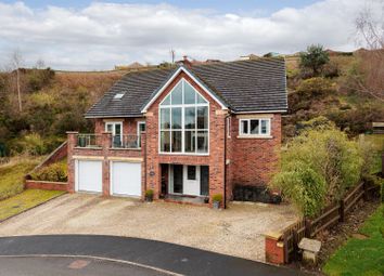 Thumbnail Detached house for sale in Vale View, Cheddleton, Leek