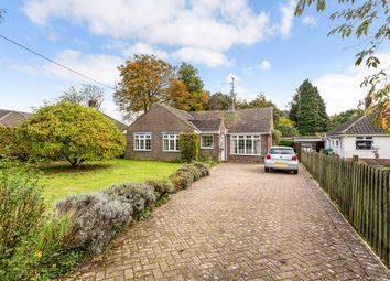 Thumbnail Detached bungalow for sale in Hussell Lane, Medstead