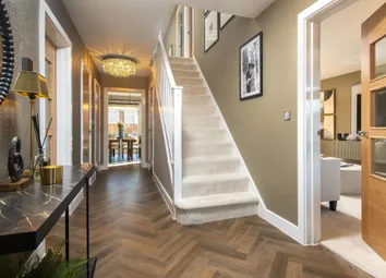 Showhome Photography