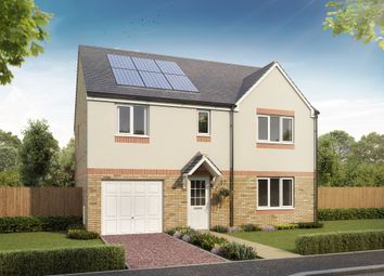 Thumbnail Detached house for sale in "The Warriston" at East Calder, Livingston