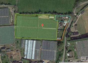 Thumbnail Land for sale in Reeves Lane, Roydon