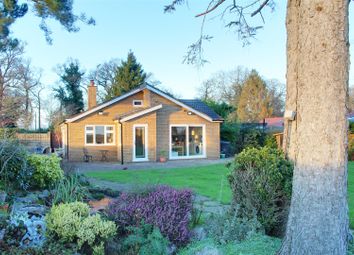 Thumbnail 3 bed detached bungalow for sale in Tylers Causeway, Newgate Street, Hertford