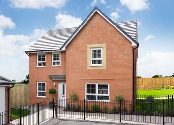 Thumbnail 4 bedroom detached house for sale in "Radleigh" at Harland Way, Cottingham