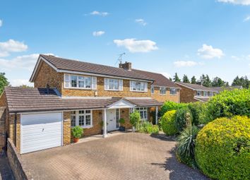 Thumbnail 4 bed detached house for sale in Cannon Lane, Maidenhead