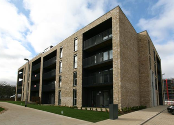 Thumbnail 3 bed flat to rent in Brunswick Road, Edinburgh