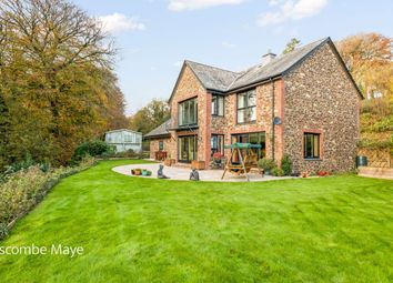 Thumbnail 5 bed country house for sale in Moorhaven, Ivybridge