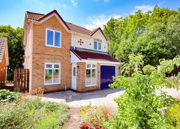 Thumbnail Detached house for sale in Sacriston Close, The Greenway, High Grange, Billingham