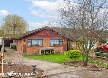 Thumbnail Detached bungalow to rent in Avenue Road, Hoddesdon