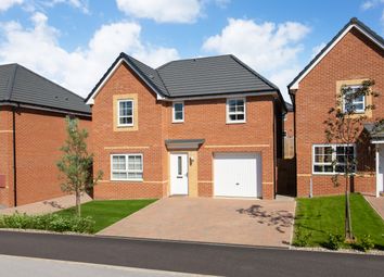 Thumbnail 4 bedroom detached house for sale in "Ripon" at Lodge Lane, Dinnington, Sheffield