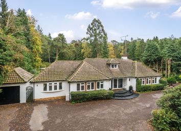 Thumbnail 5 bed detached bungalow for sale in Crooksbury Road, Farnham