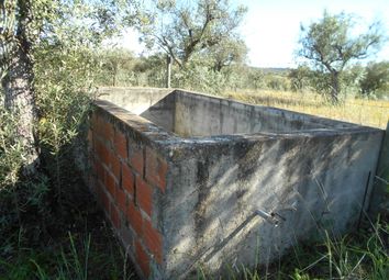 Thumbnail Farm for sale in Ninho Do Açor, Portugal