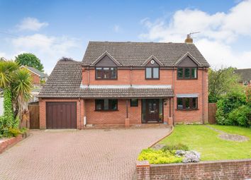 Thumbnail Detached house for sale in The Street, Blofield, Norwich