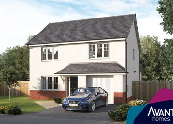Thumbnail Detached house for sale in "The Oakbrook" at Draffen Mount, Stewarton, Kilmarnock