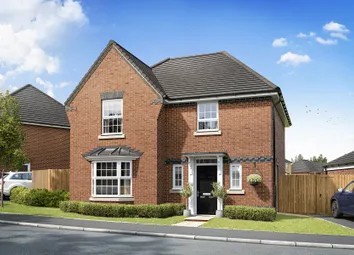 Saxongreen Shenton Plot 54