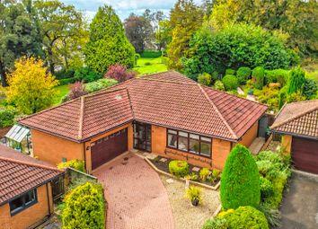 Thumbnail 3 bed bungalow for sale in Clos Coedydaffarn, Lisvane, Cardiff