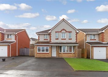 Thumbnail Detached house for sale in Walnut Gate, Cambuslang, Glasgow, South Lanarkshire