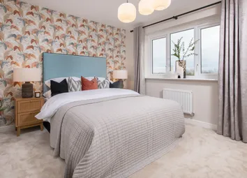 Showhome Photography