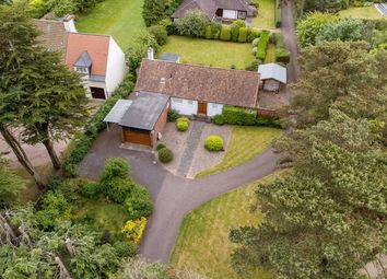 Thumbnail Detached bungalow for sale in Buchanan Gardens, St Andrews