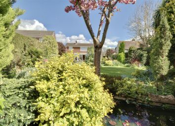 Thumbnail Detached house for sale in Catisfield Lane, Fareham