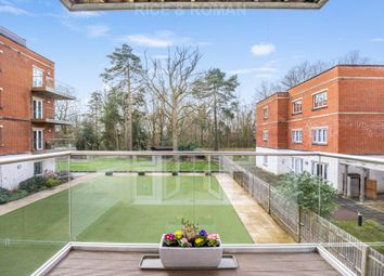 Ascot - Flat for sale