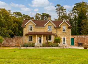 Thumbnail Cottage to rent in Wilderwick Road, East Grinstead