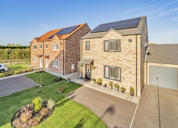 Thumbnail 3 bed link-detached house for sale in Platinum Close, Gosberton, Spalding, Lincolnshire