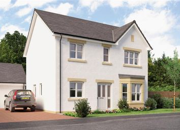 Thumbnail 4 bed detached house for sale in "Douglas Det" at Monifieth