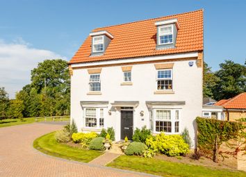 Thumbnail Detached house for sale in Rock Ford Drive, Stamford Bridge, York