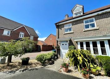 Thumbnail Semi-detached house to rent in Craig Meadows, Lewes