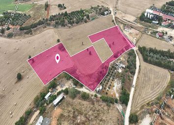 Thumbnail Land for sale in Avgorou, Famagusta, Cyprus