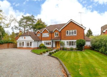 Thumbnail 5 bedroom detached house for sale in Lower Common, Eversley, Hook, Hampshire