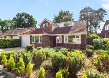 Thumbnail 4 bed detached house to rent in Tanglewood Close, Pyrford