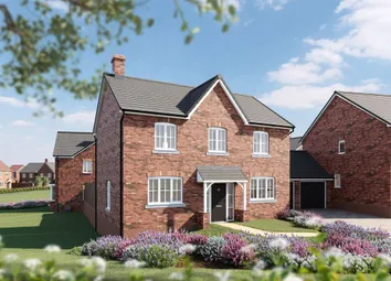 Nmacc_Bovis_Chestnut_CGI_001