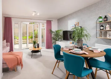 Showhome Photography