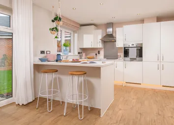 Showhome Photography