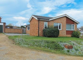 Thumbnail Detached bungalow for sale in Woodland Close, Potton, Sandy