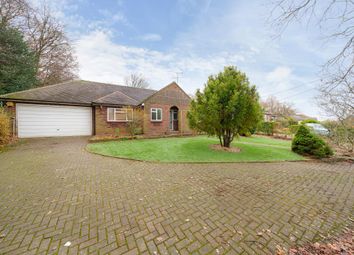 Thumbnail 3 bed detached bungalow for sale in Fleet, Hampshire