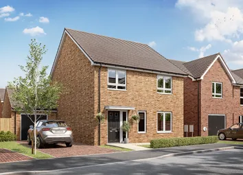 An Artist's Impression Of The Colford