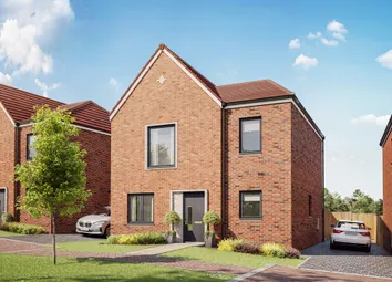 H17 Plot 51
