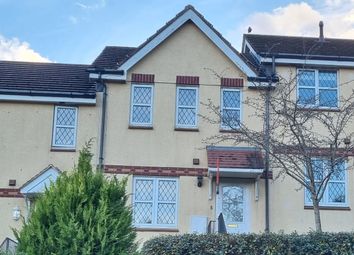 Thumbnail Terraced house to rent in Puffin Close, Torquay