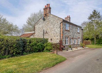 Thumbnail 3 bed detached house for sale in The Arms, Little Cressingham, Thetford