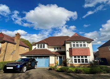 Thumbnail Property to rent in Whalebone Wood Road, Crawley