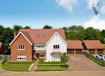 Harlow - 6 bed detached house for sale
